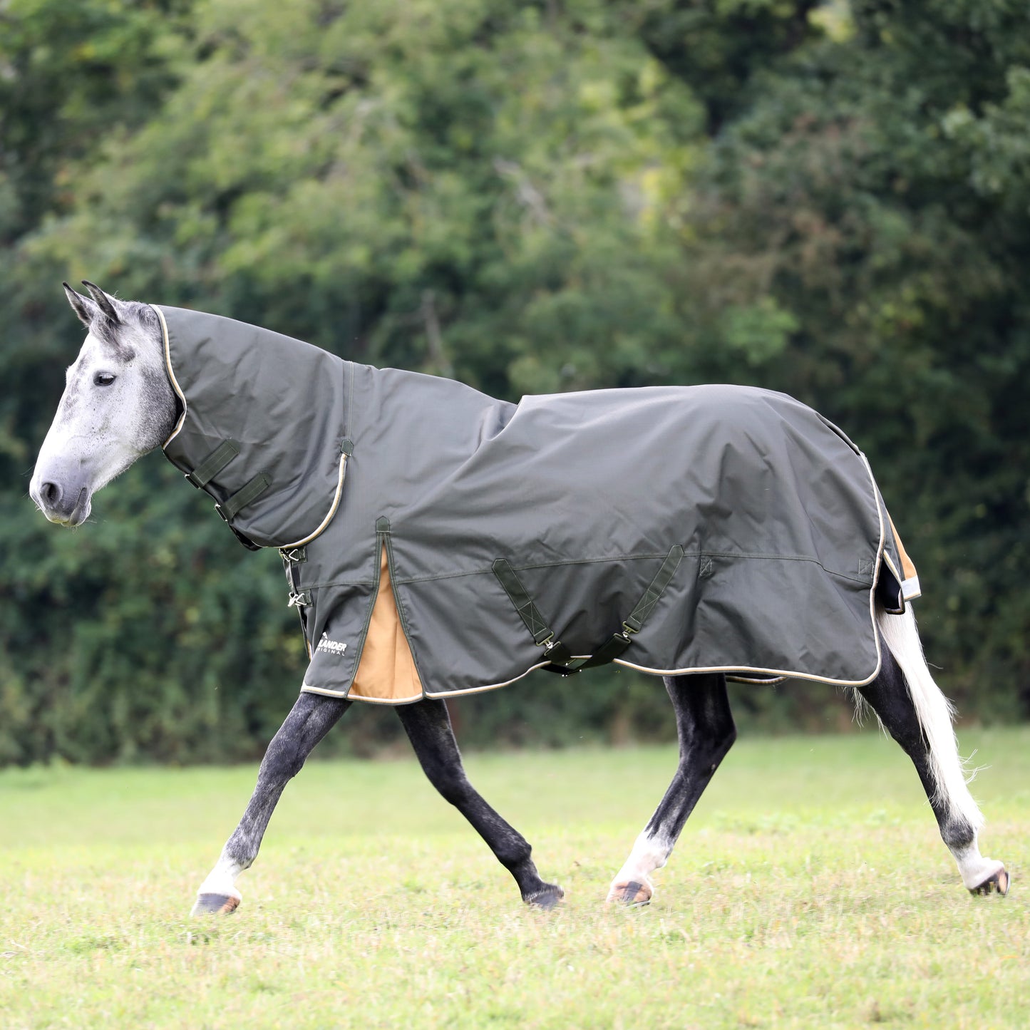 Highlander Plus 50 Combo Turnout Rug (RRP £110)