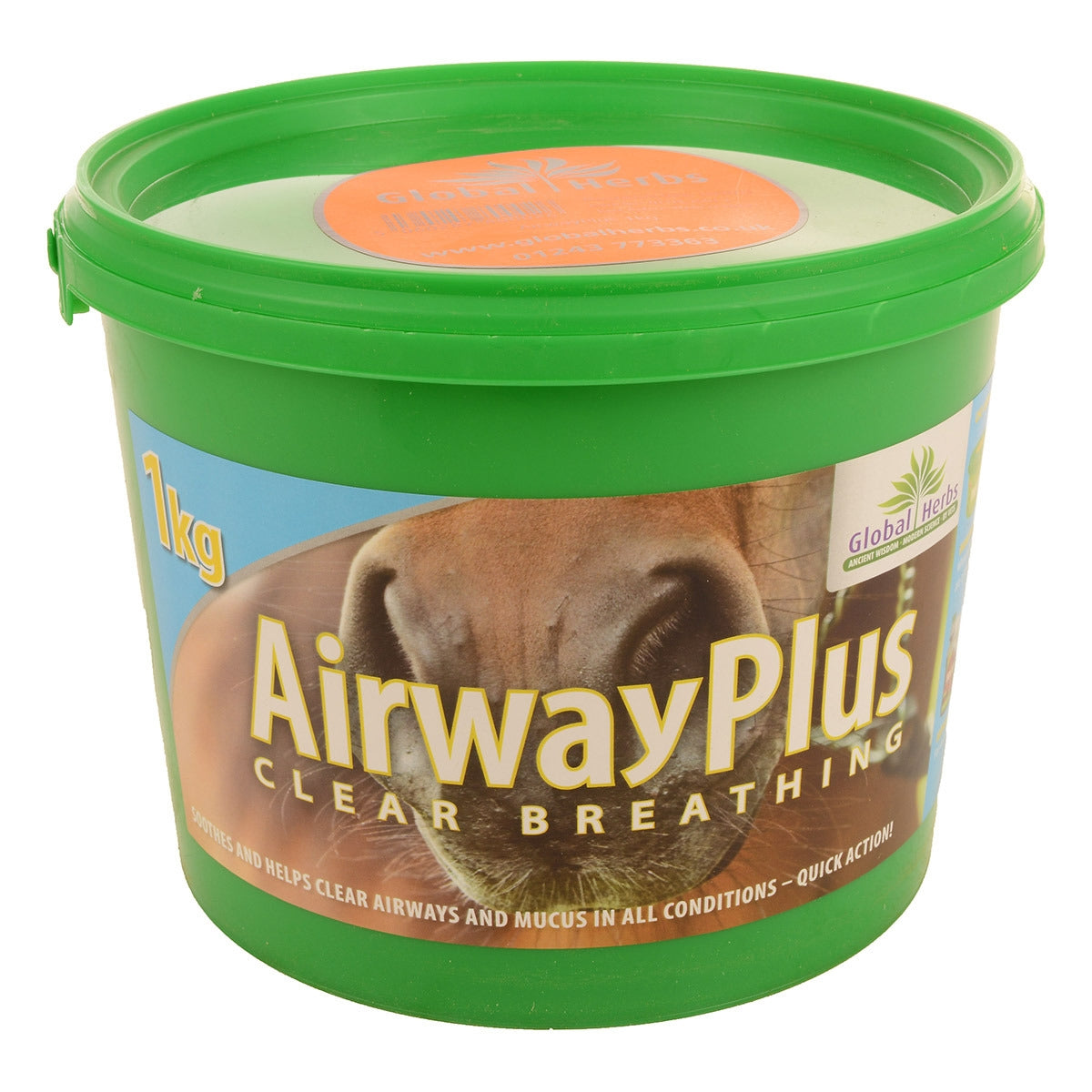 Airway Plus