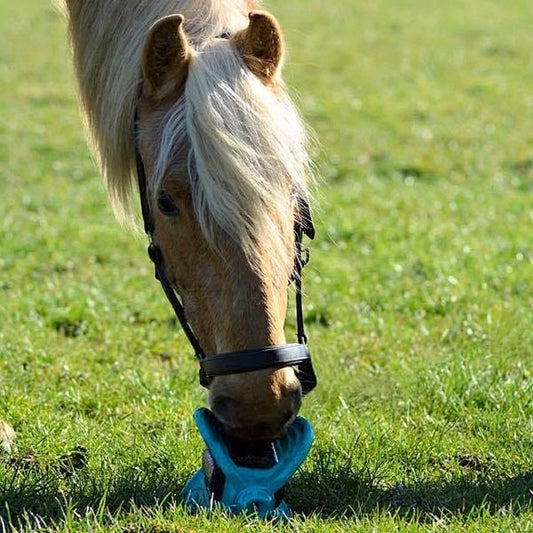 Bizzy Bites Toy