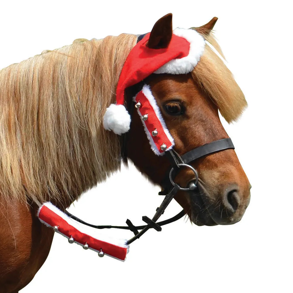 Christmas Santa Horse Hat