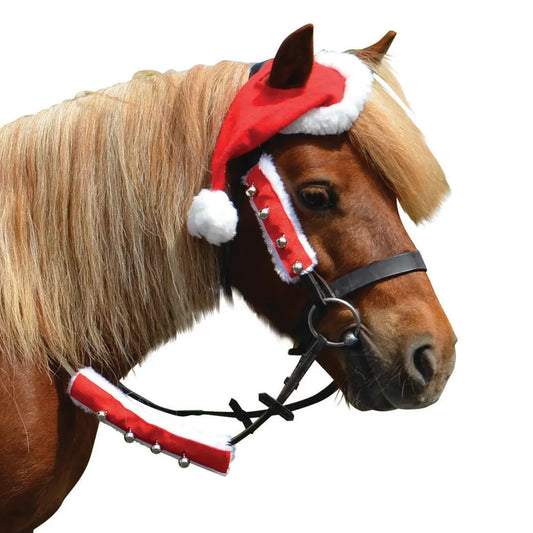 Christmas Santa Horse Hat