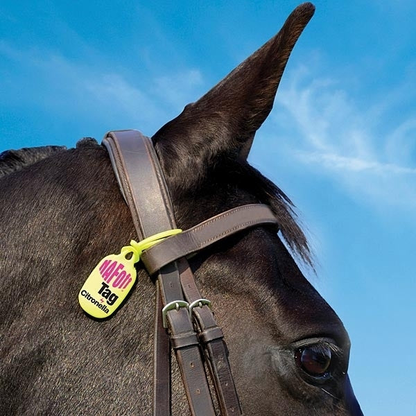 Citronella Tags (Pack of 2)