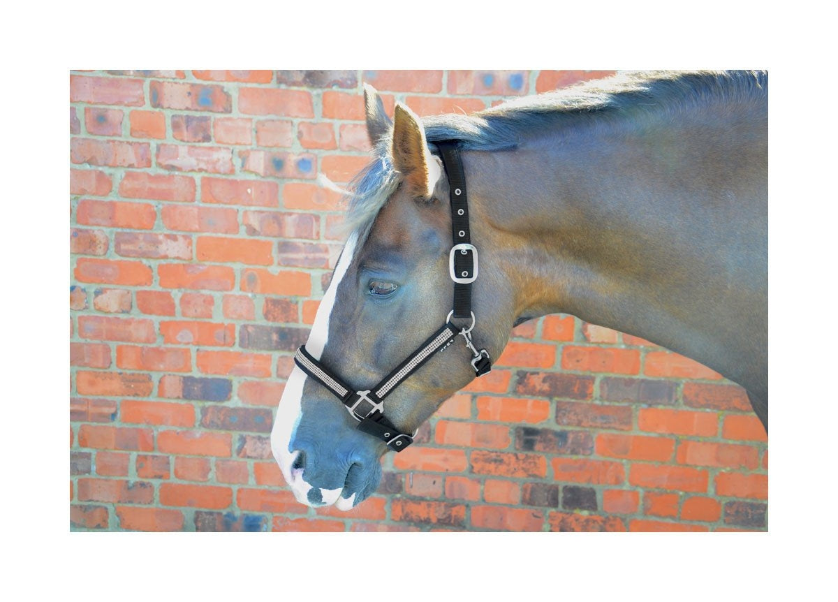 Diamante Headcollar (RRP £11.50)