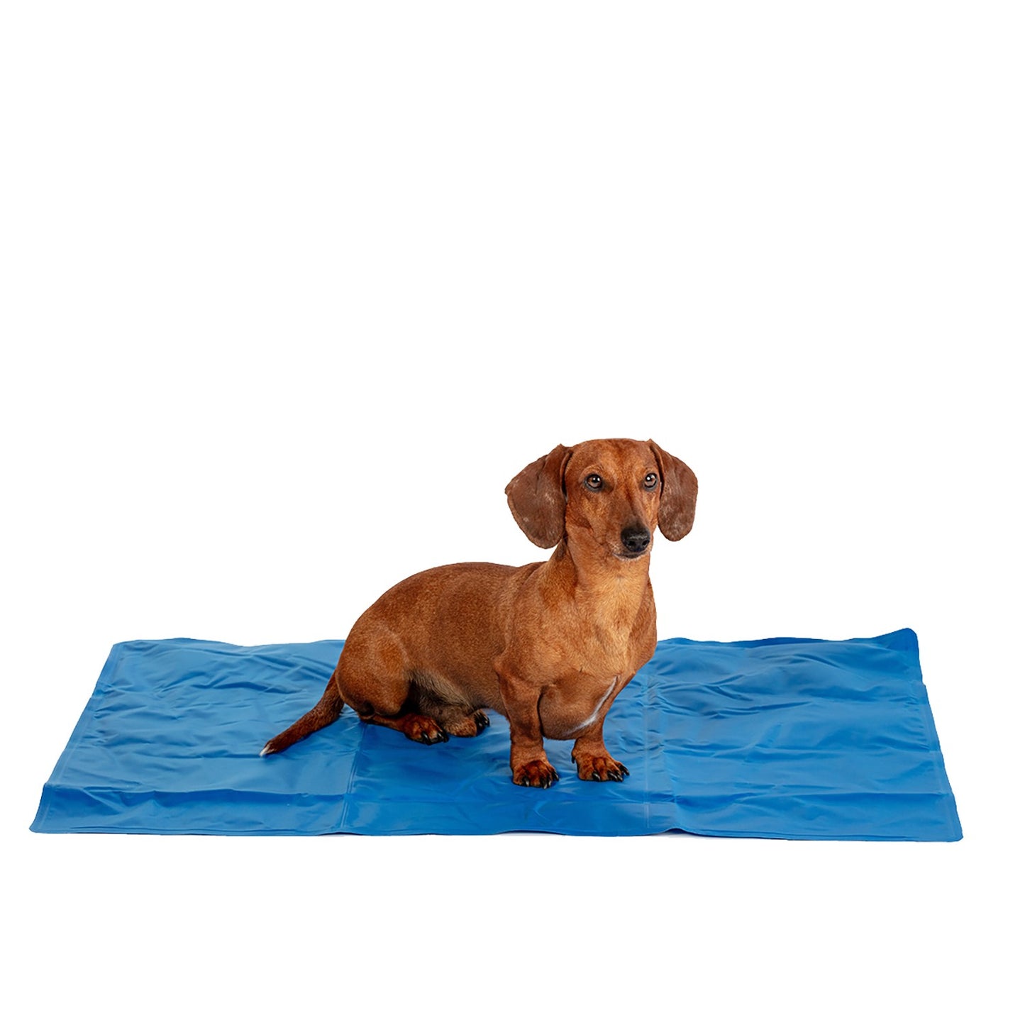 Pet Cooling Mattress