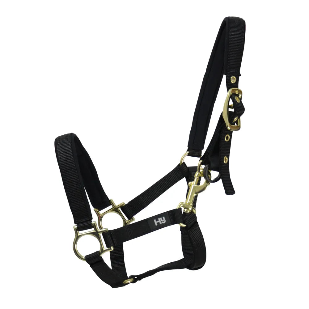 Hy Equestrian Fieldsafe Small Pony & Foal Head Collar