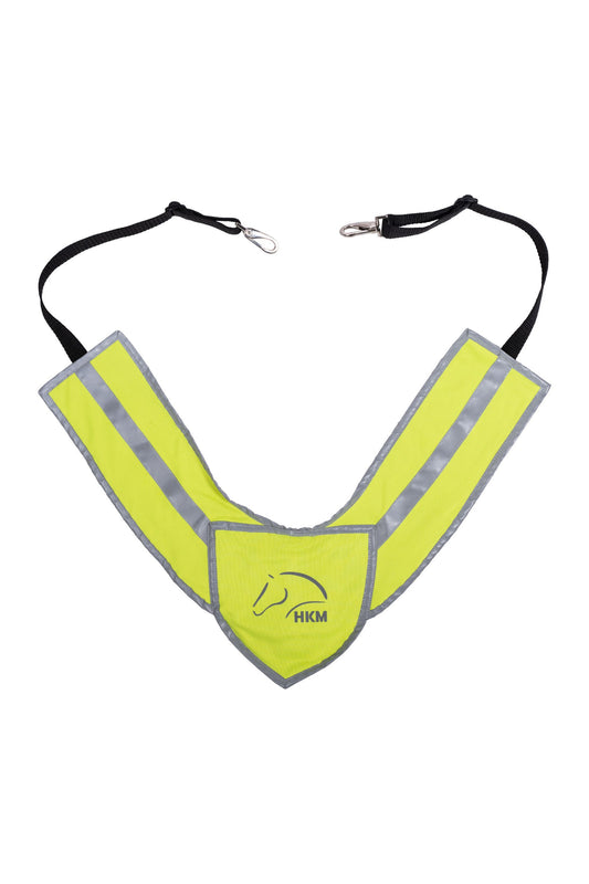 Reflective Breastplate