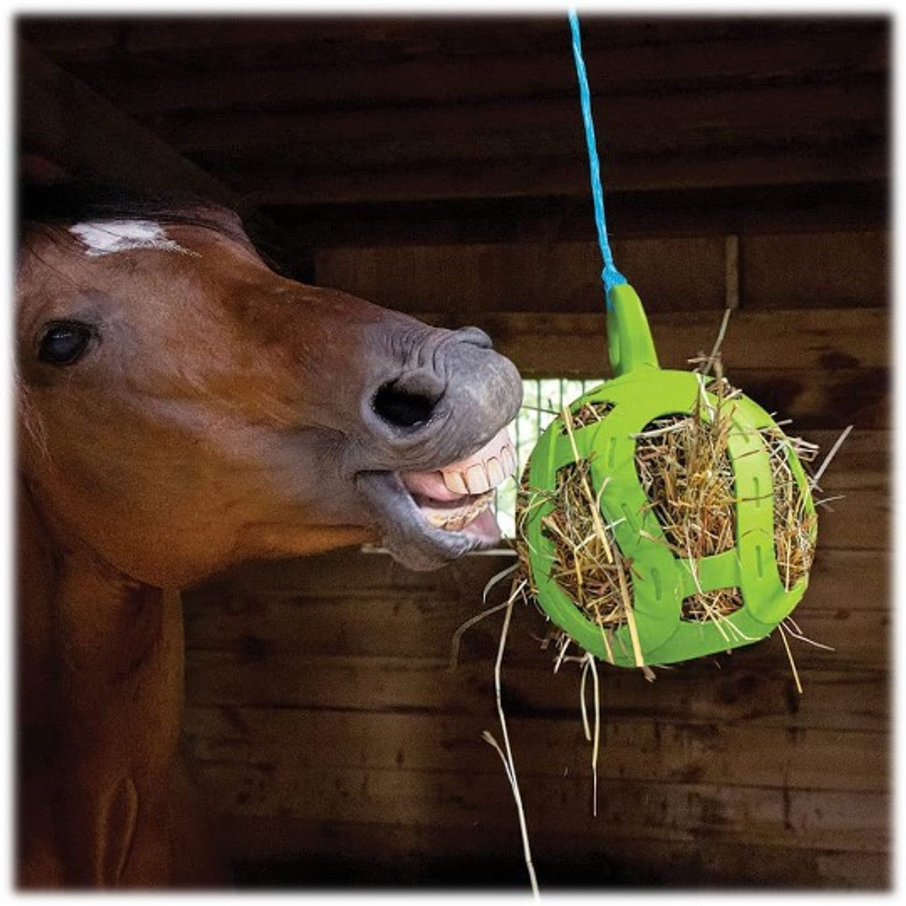 Horsemen's Pride Jolly Hay Ball