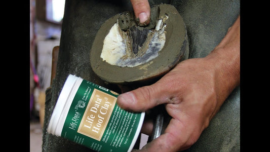Hoof Clay - 284g Tub