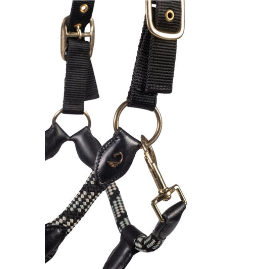Limone Sportive Headcollar & Rope Set - Black