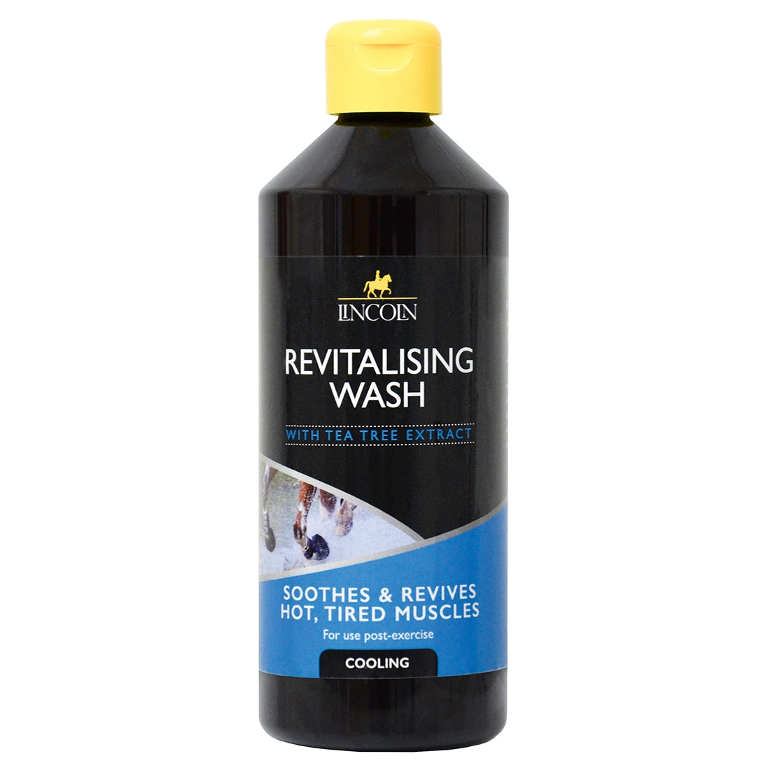 Revitalising Wash - 500ml