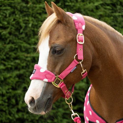 Dotty Fleece Head Collar & Lead Rope - Paradise PINK