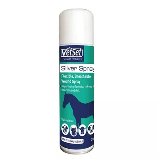 Silver Spray - Aerosol