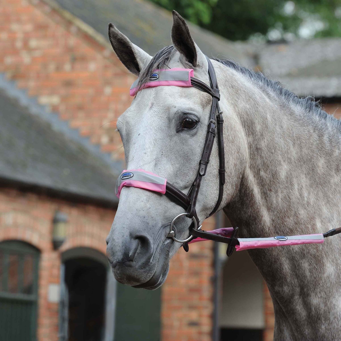 Reflective Bridle Kit (4 Piece) Normally £19.99