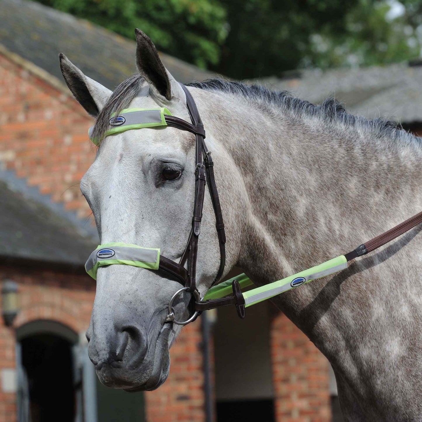 Reflective Bridle Kit (4 Piece) Normally £19.99