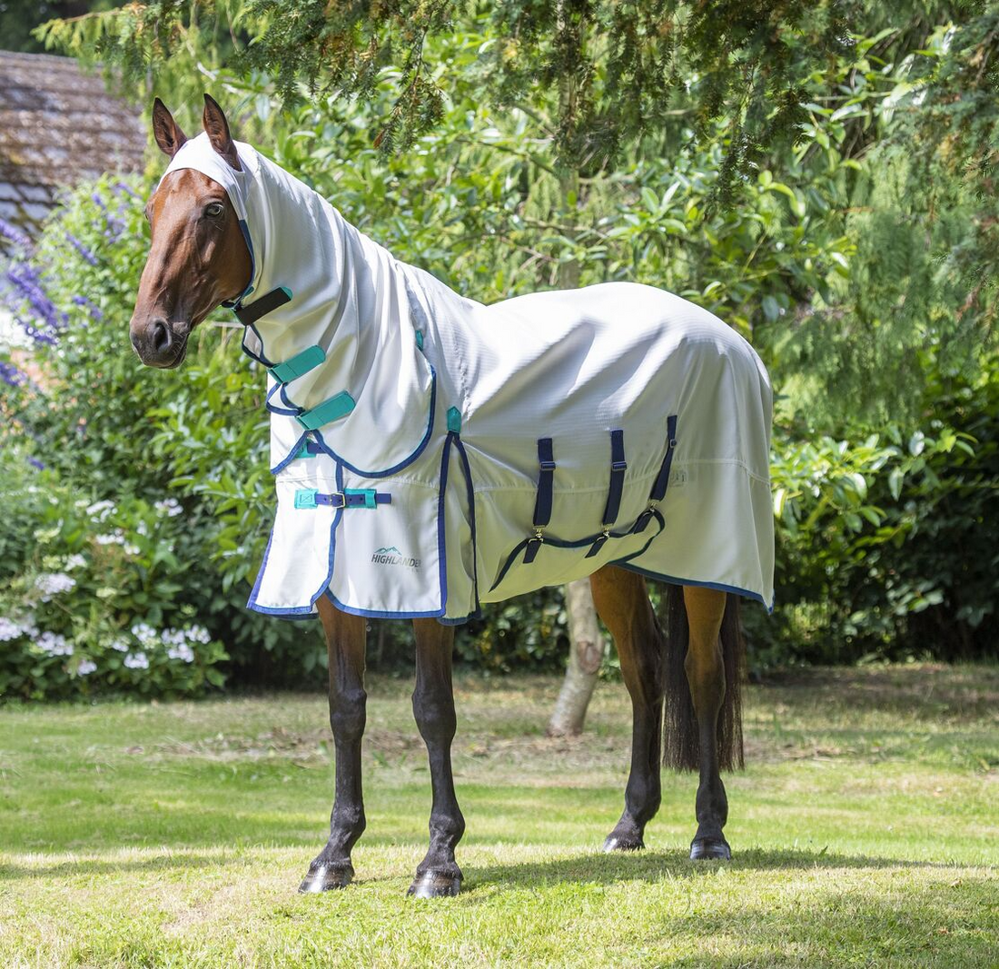 Horse wearing a sweet itch rug for midge protection