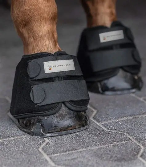 Waldhausen  Cooling Hoof Boots & Laminitis "by Saddlery-Online"