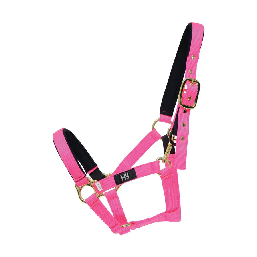 HY Equestrian fieldsafe headcollar in pink, designed to break under pressure for horse safety