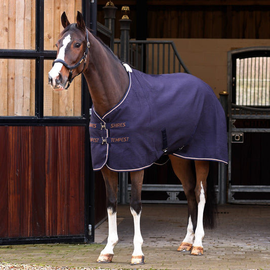 Shires Equestrian Waffle Cooler Rug on a horse