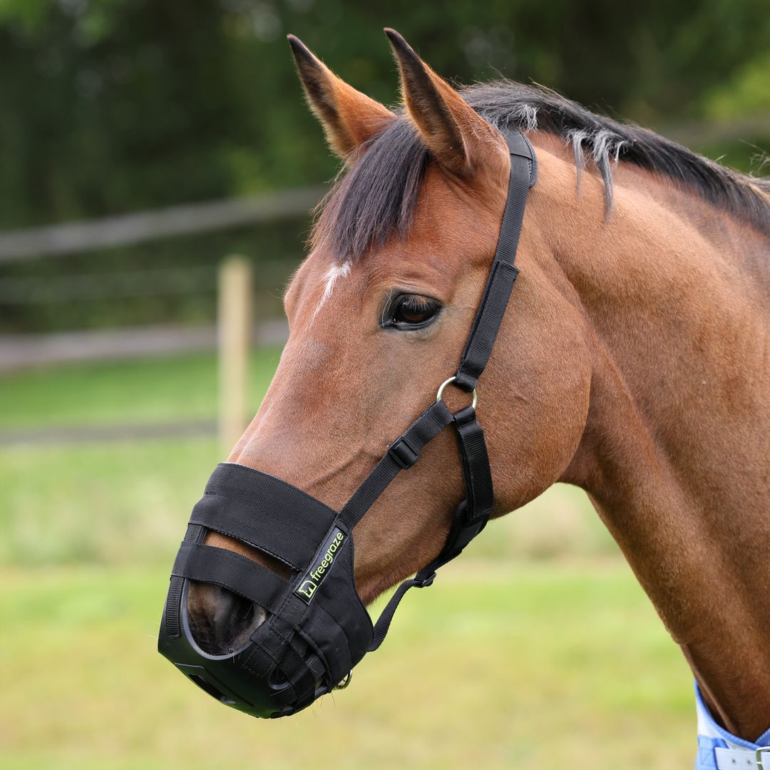 Grazing Muzzles & Laminitis