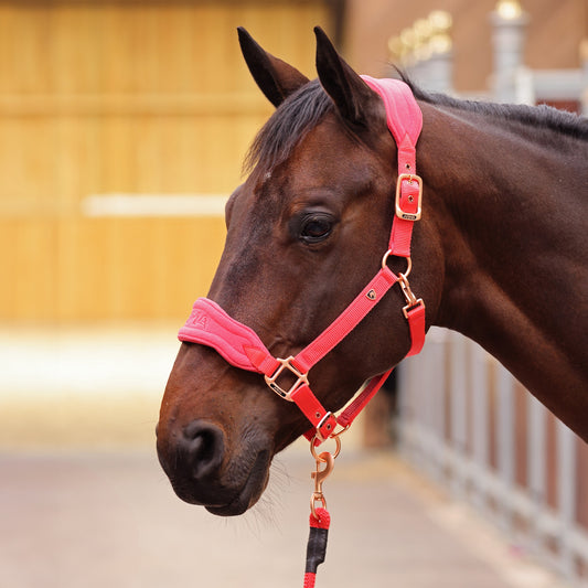 ARMA Comfy Fleece Headcollar & Leadrope Set