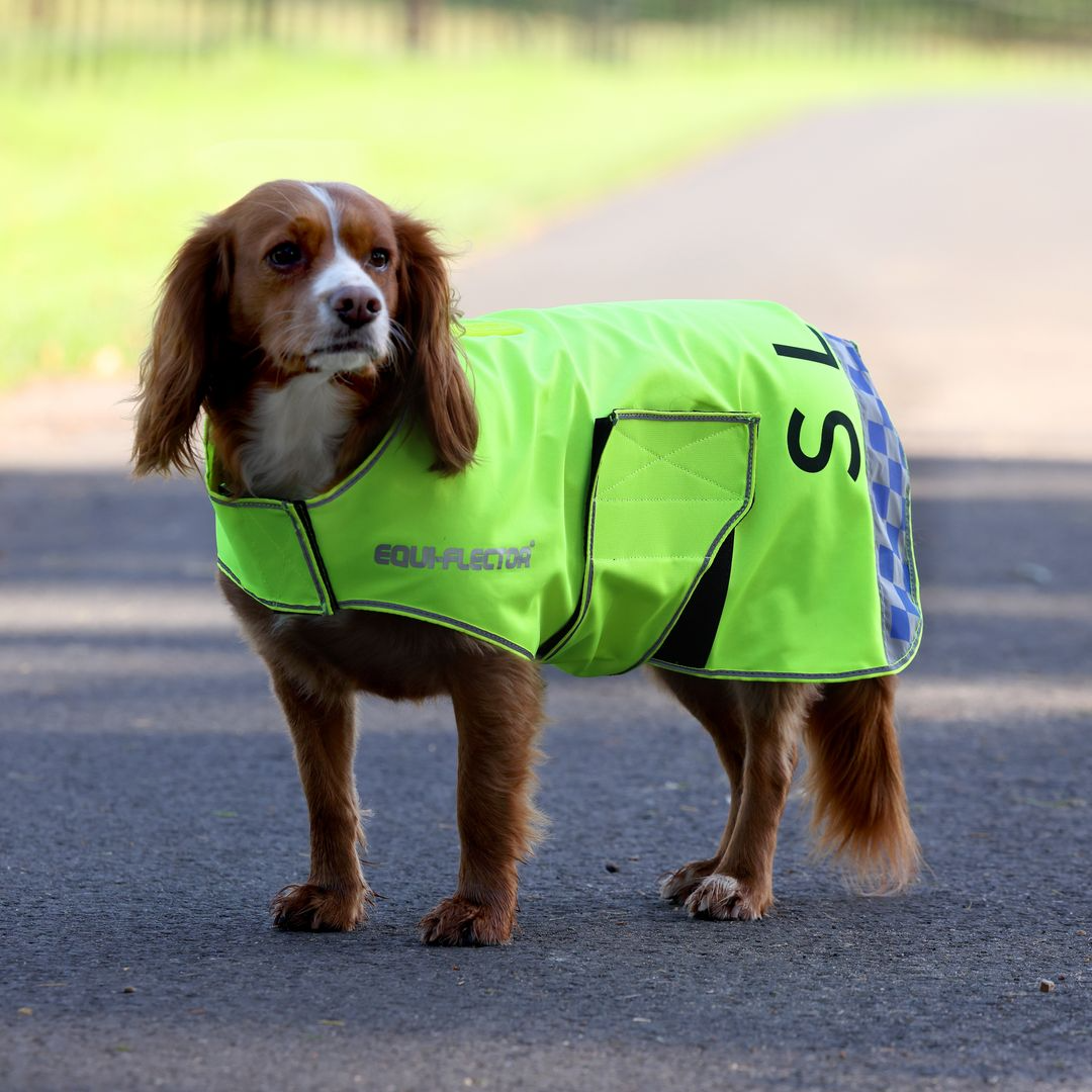 EQUI-FLECTOR® Mesh Dog Coat