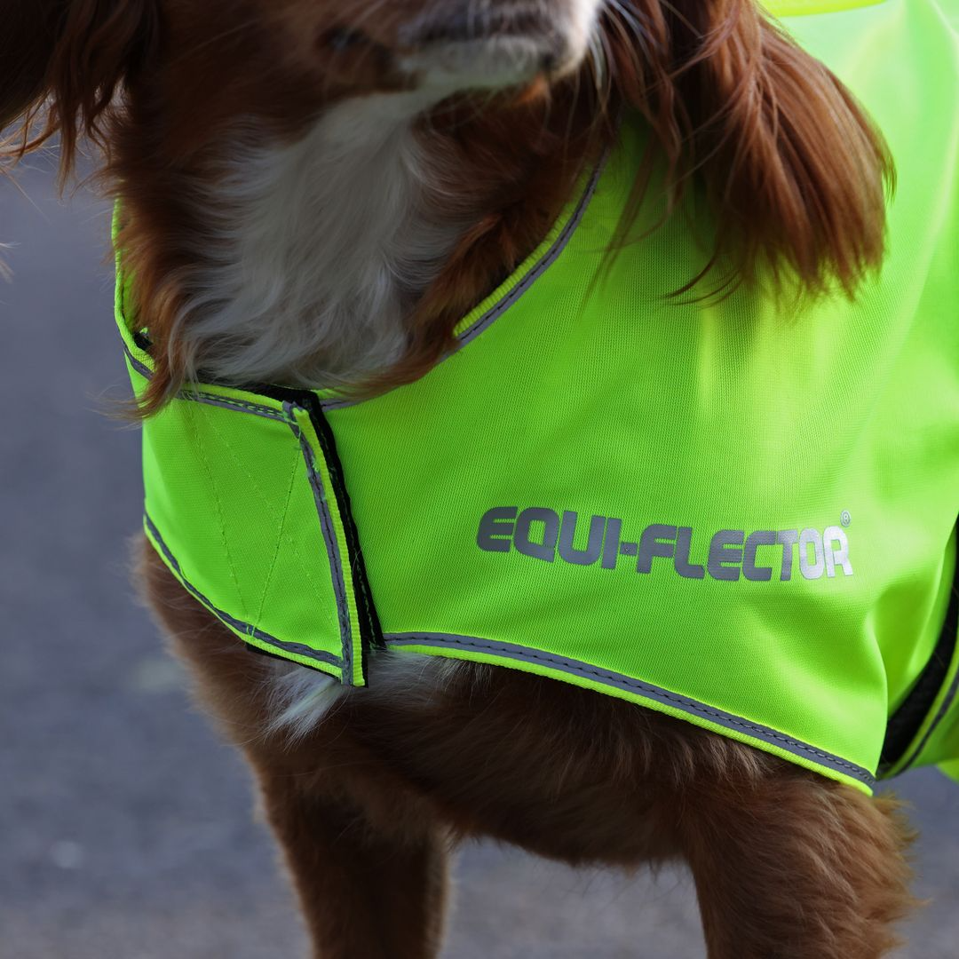 EQUI-FLECTOR® Mesh Dog Coat