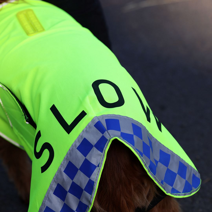 EQUI-FLECTOR® Mesh Dog Coat