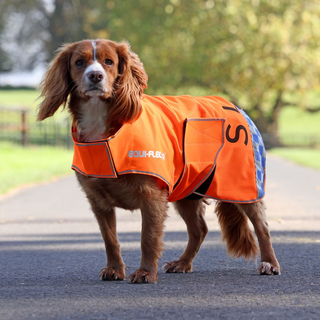 EQUI-FLECTOR® Mesh Dog Coat