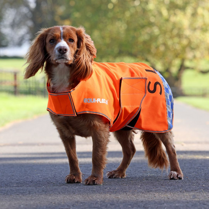 EQUI-FLECTOR® Mesh Dog Coat