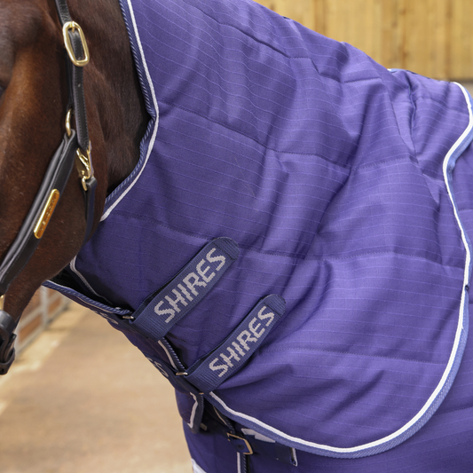 Tempest Original 100 Stable Rug & Neck (RRP £80.00)