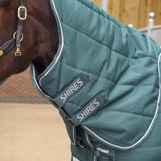 Tempest Original 200 Stable Rug & Neck Set (RRP £84.00)