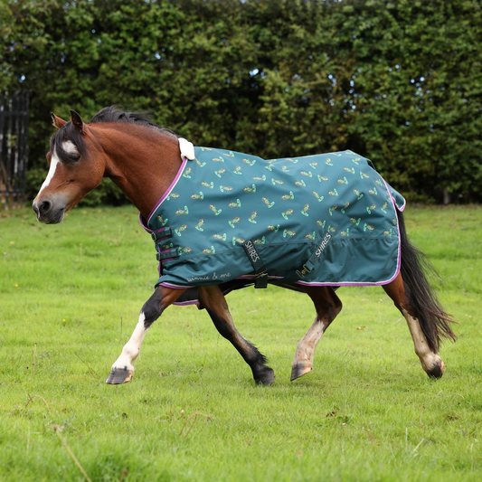Winnie & Me 100 Turnout Rug (RRP £55.00)