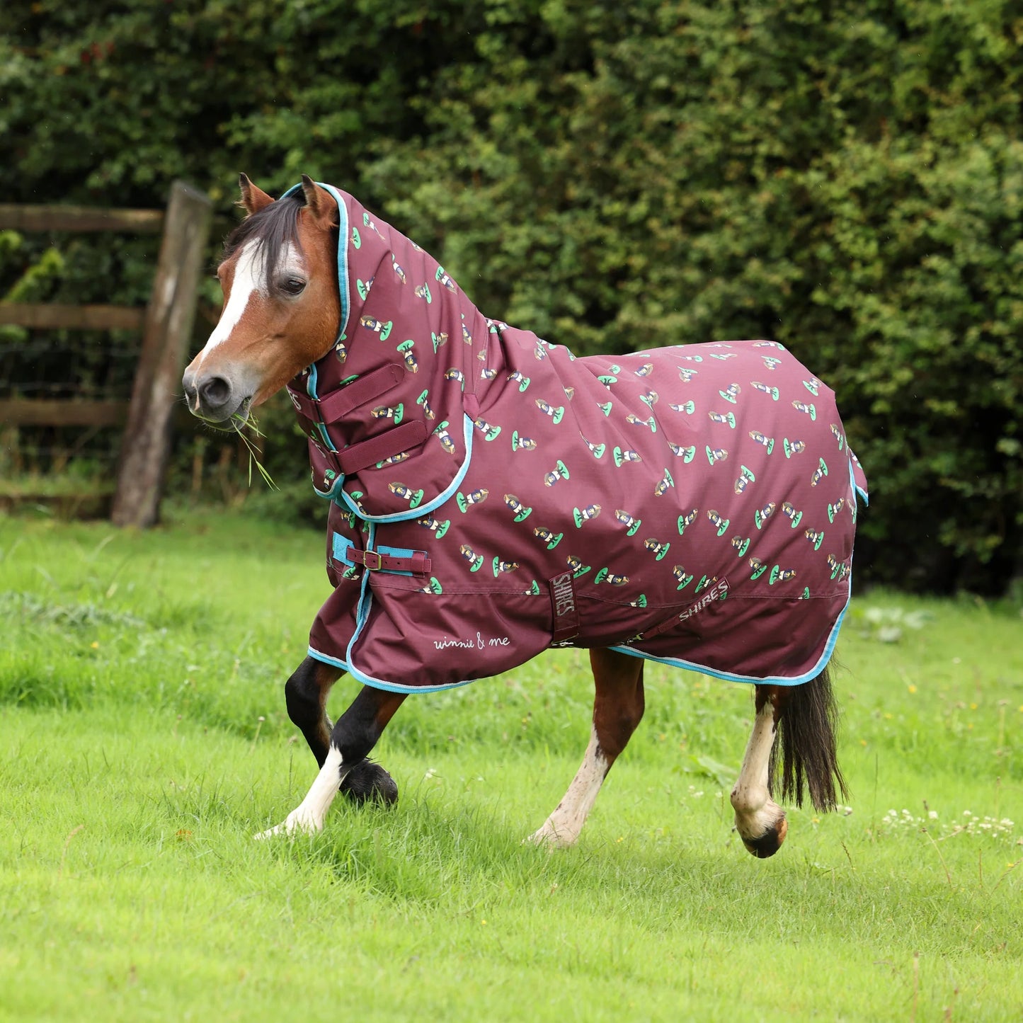 Winnie & Me 200g Turnout Rug
