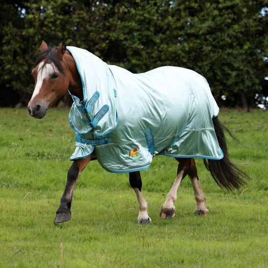 Winnie & Me Fly Combo Rug (RRP £47.99)