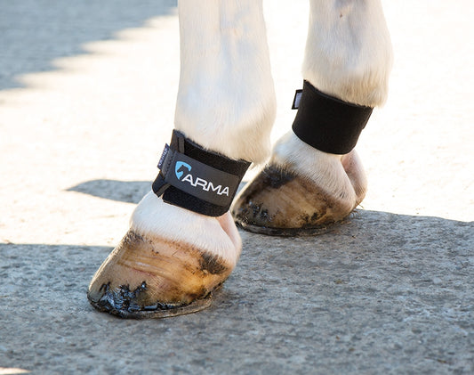 ARMA Pastern Wraps