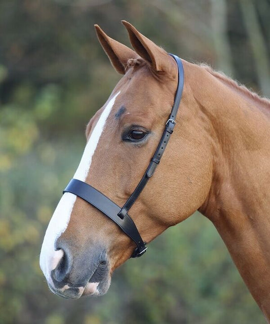 Blenheim Hunter Noseband