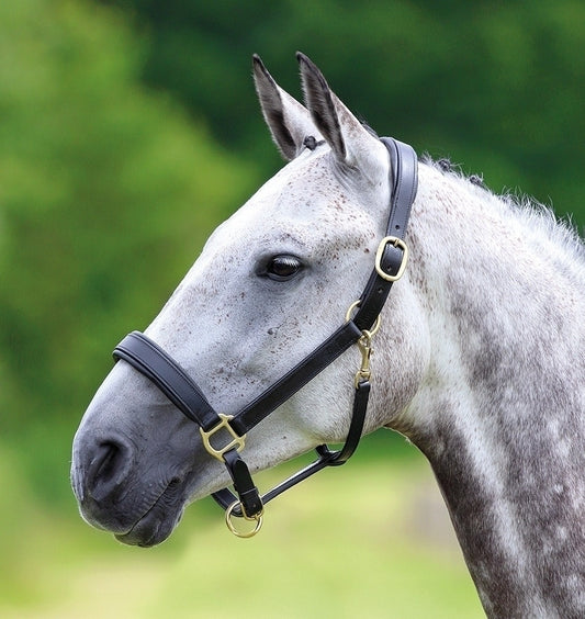 Velociti GARA Leather Travel Headcollar