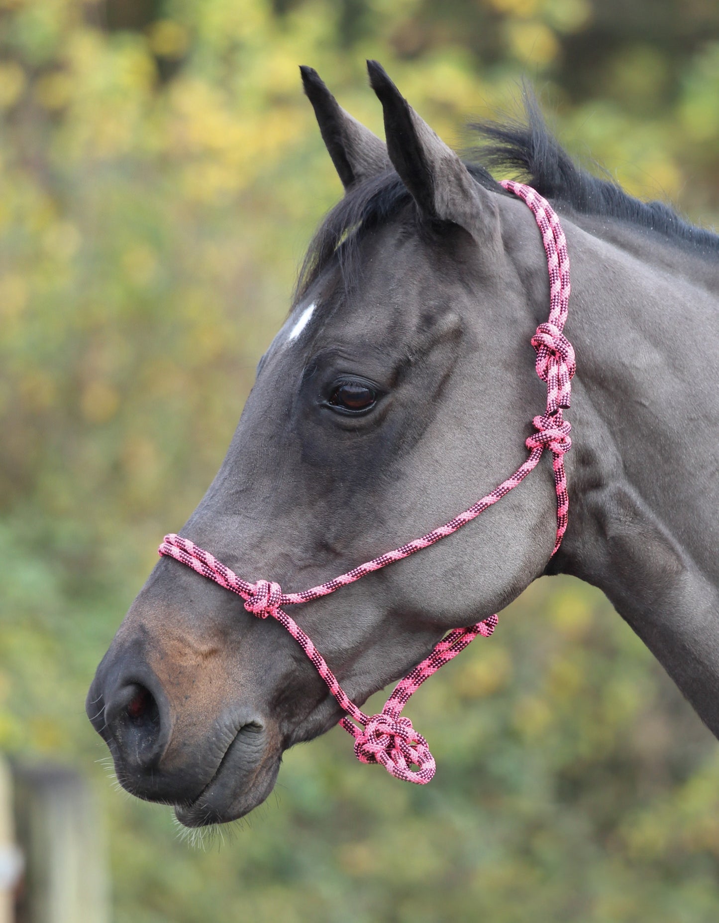 Adjustable Rope Halter