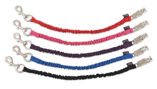 Bungee Trailer Tie
