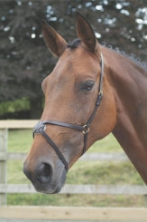 Mexican Noseband