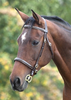 Velociti GARA Fancy Stitched Inhand Bridle