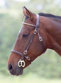 Velociti GARA Clincher Inhand Bridle