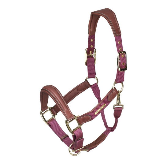 Velociti Lusso Padded Leather Headcollar (RRP £52.99)