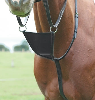 Bib Martingale