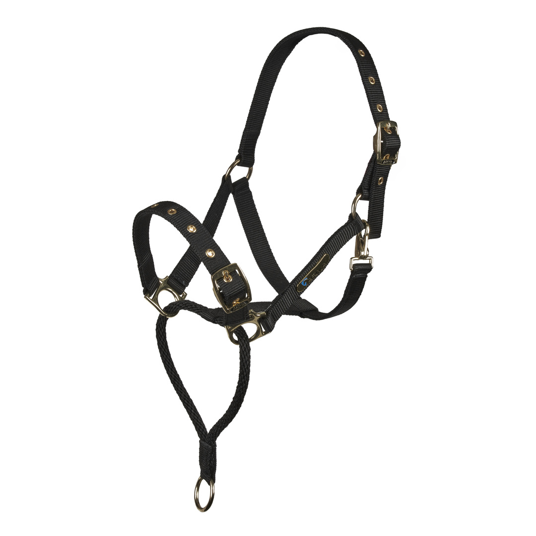 Control Headcollar