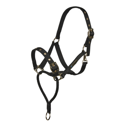 Control Headcollar