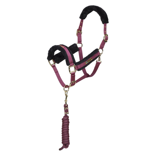 ARMA Logo Headcollar & Lead Rope