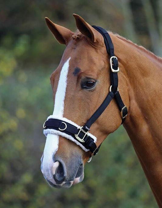 Fleece Lined Lunge Cavesson