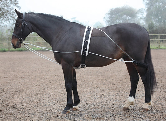 Lunging Aid