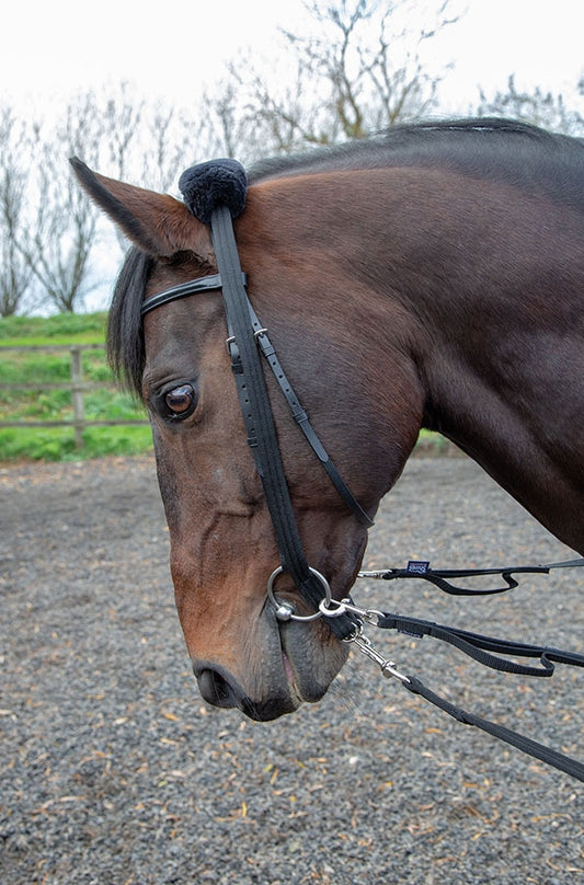 Lunging Adapter (RRP £9.99)